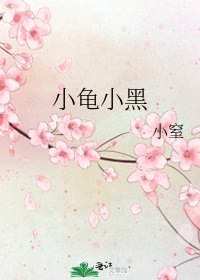 小龜小黑