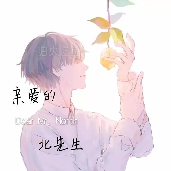 《親愛的北先生》