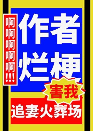 《作者烂梗害我追妻火葬场》