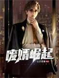 《废婿崛起》