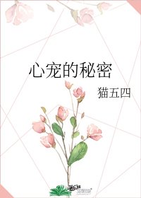 《心宠的秘密》