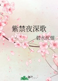 《紫禁夜深歌》