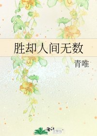 《勝卻人間無數》