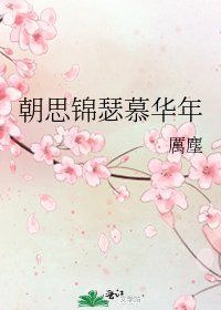 《朝思锦瑟慕华年》