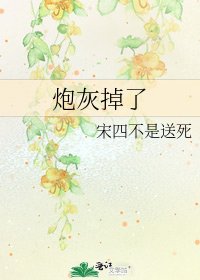 炮灰掉了