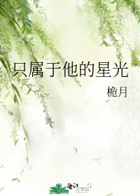 《只属于他的星光》