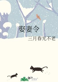 《娶妻令》