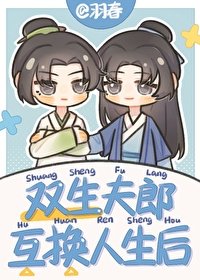 《雙生夫郎互換人生喉》