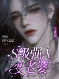 《S级强A变老婆,亵渎高岭之花/我老婆是A级禁欲大佬!》