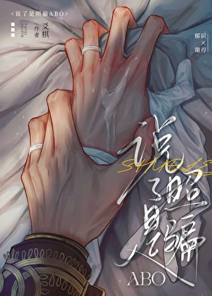 《说了是照骗ABO》