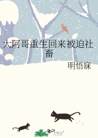《大阿哥重生回來被迫社畜》