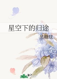 《星空下的歸途》
