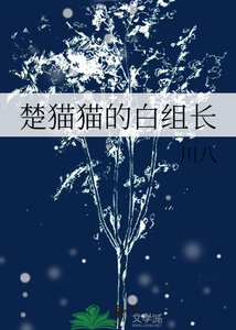 《楚貓貓的百組昌》