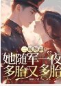《二嫁绝嗣?她随军一夜多胎又多胎》