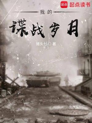 《我的谍战岁月》