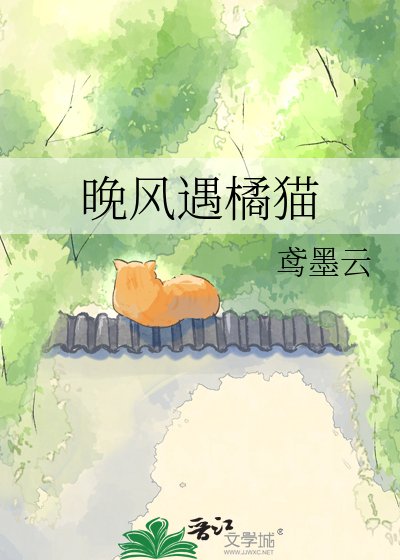 《晚风遇橘猫》
