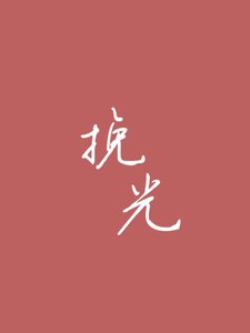 《挽光》